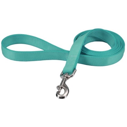 Coastal Pet Double-ply Nylon Dog Lead Teal