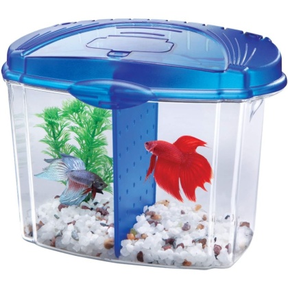 Aqueon Betta Bowl Starter Kit - Blue