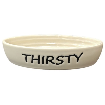 Spot Oval Thirsty Cat dish 6\