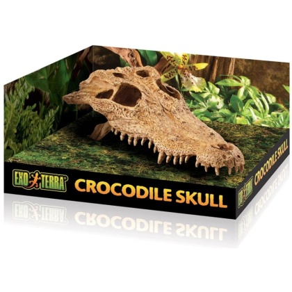 Exo Terra Terrarium Crocodile Skull Decoration